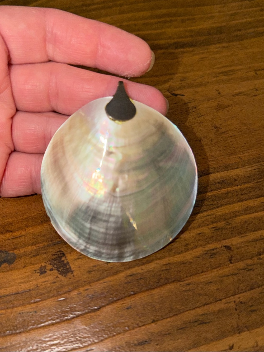 Shell pendant